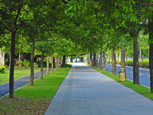 美國(guó)對(duì)環(huán)境工程的研究及法案的實(shí)施